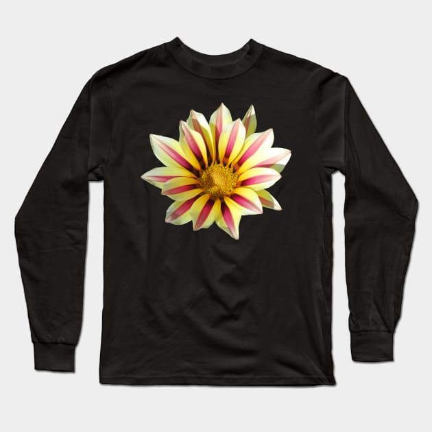 yellow red pink flower, blooming flowers, blossom, Long Sleeve T-Shirt by rh_naturestyles